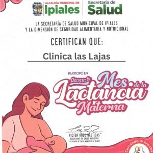 Banner Vertical Certificado Lactancia Materna